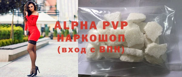 гидра Елизово