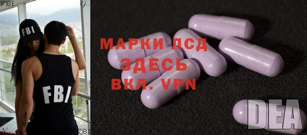 PSILOCYBIN Ельня
