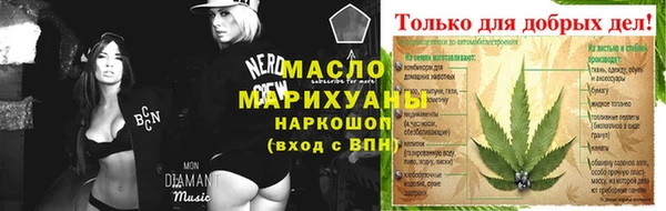 гидра Елизово