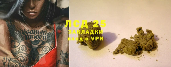 гидра Елизово