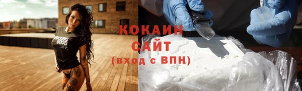 PSILOCYBIN Ельня