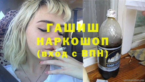 гидра Елизово