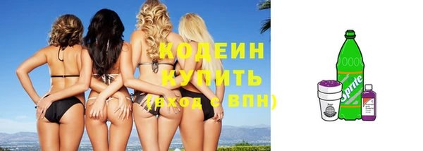 гидра Елизово