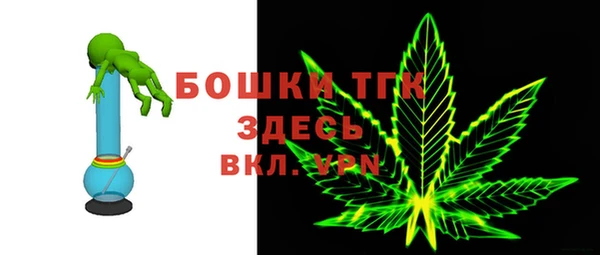 гидра Елизово