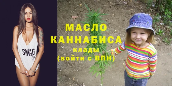 PSILOCYBIN Ельня