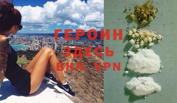 PSILOCYBIN Ельня