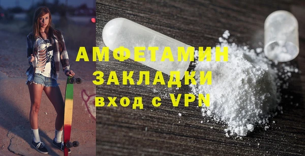 PSILOCYBIN Ельня
