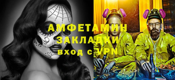 PSILOCYBIN Ельня