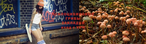 PSILOCYBIN Ельня