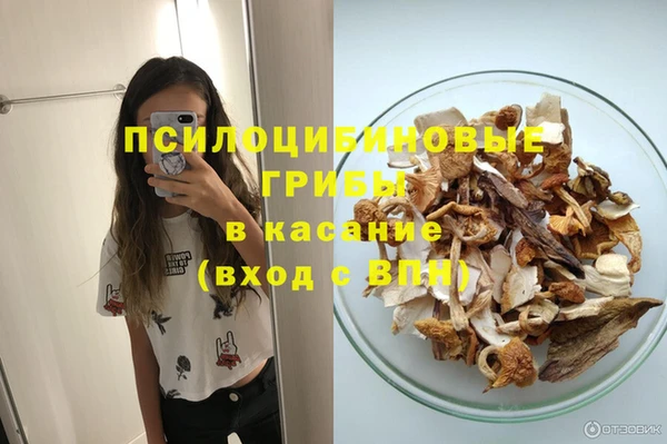 PSILOCYBIN Ельня
