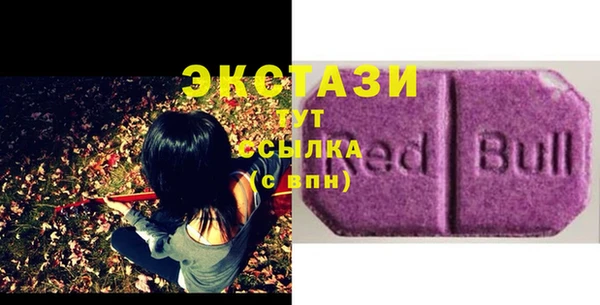PSILOCYBIN Ельня