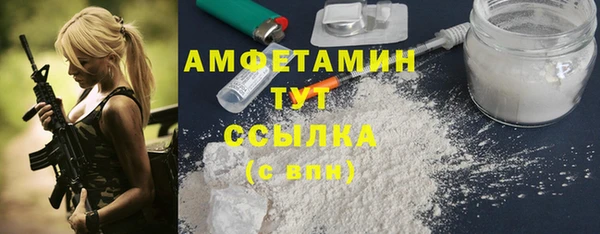 гидра Елизово