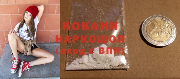 шишки Дмитриев