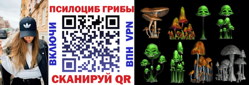 дарнет шоп  Кисловодск  Псилоцибиновые грибы ЛСД 